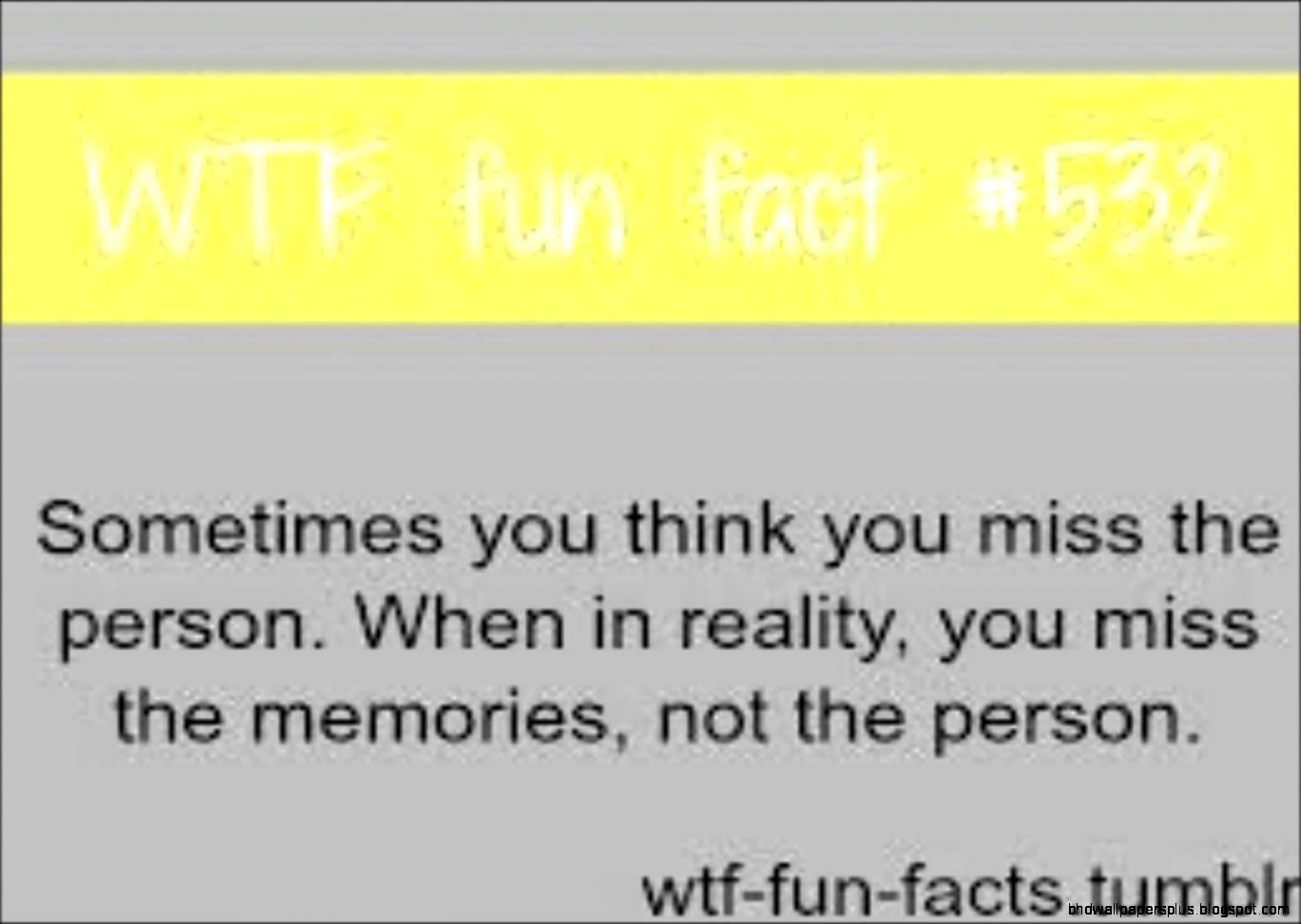 23 WTF Fun Facts   YouTube