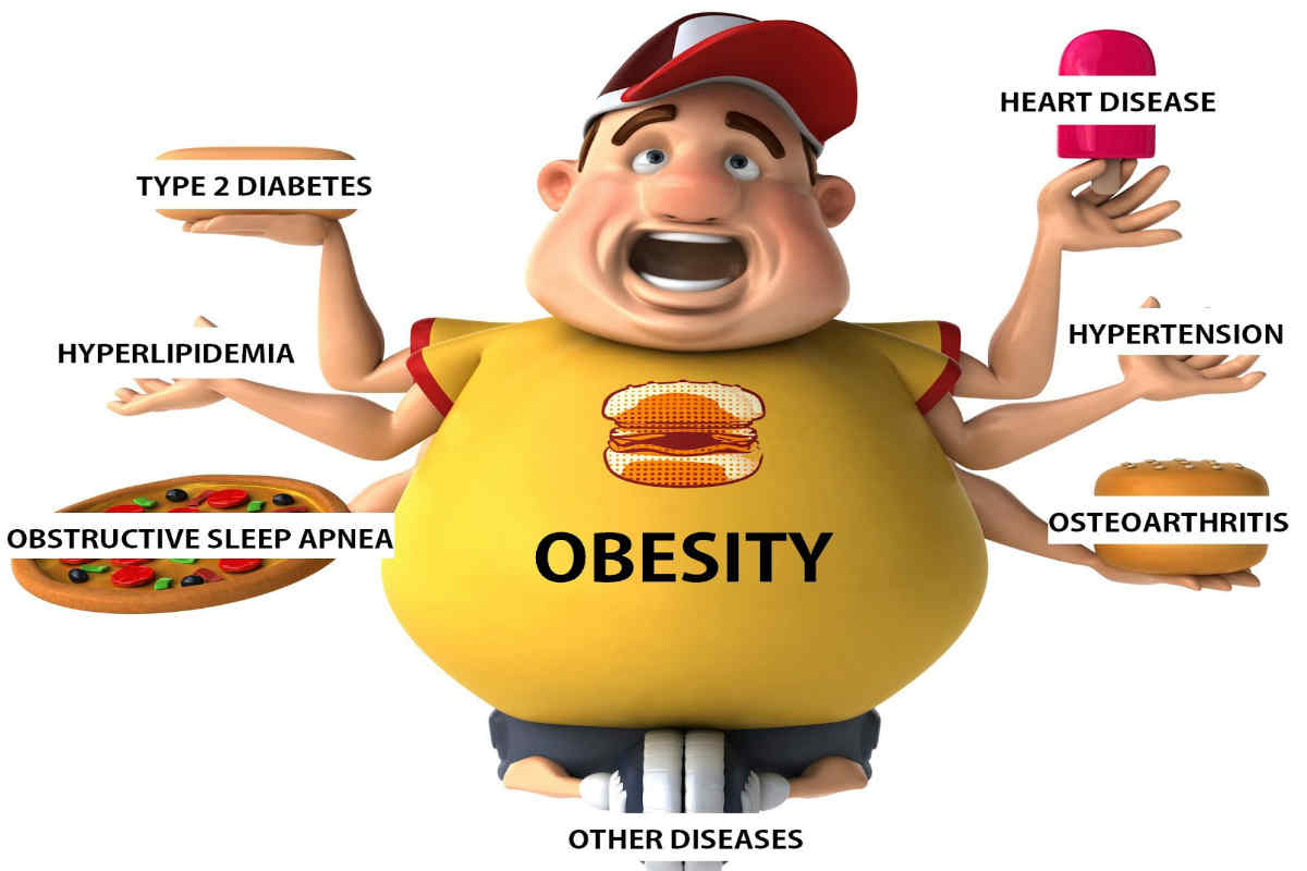 Obesity Kills Health Zone For All