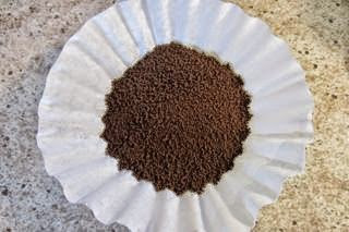 Eco-Friendly Gardening Tips - Leovan Design