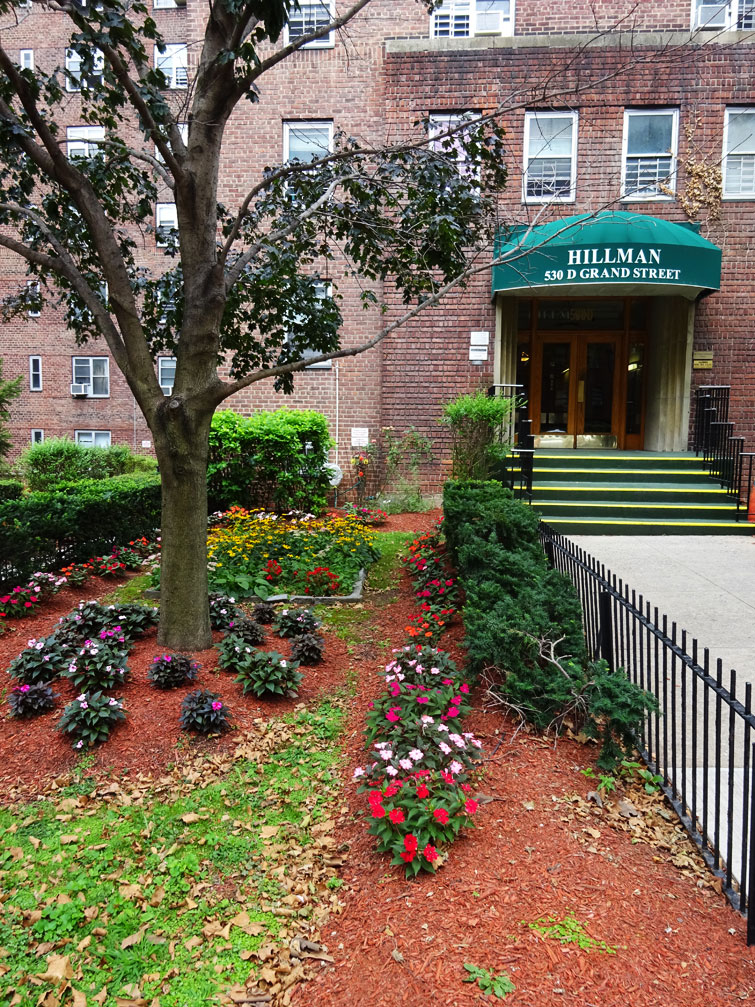 The Stuyvesant Town Report What? Not One Official Takes a Tour?