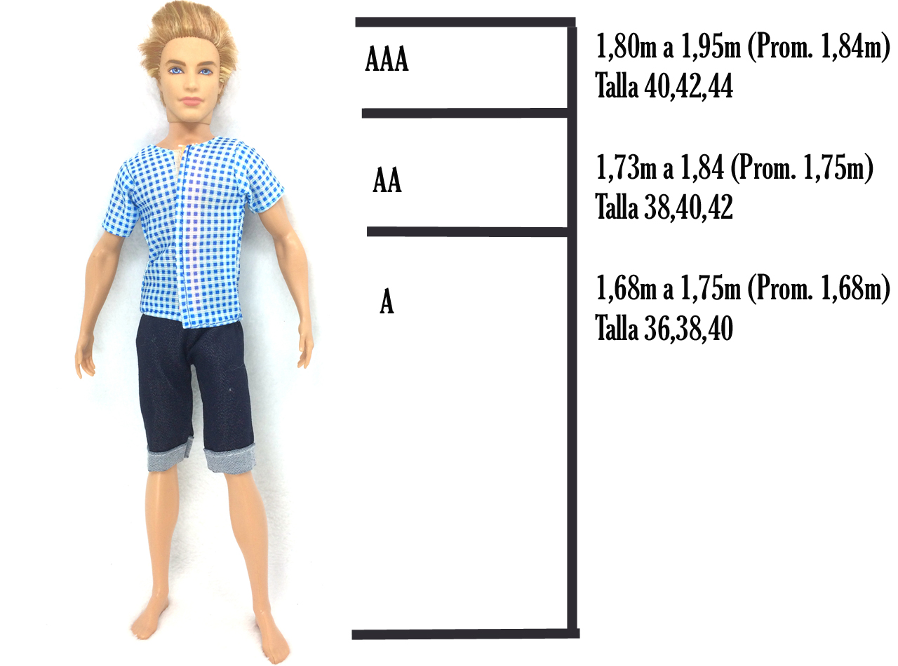 Sere Modelo Profesional Tipos De Modelos A Aa Y Aaa