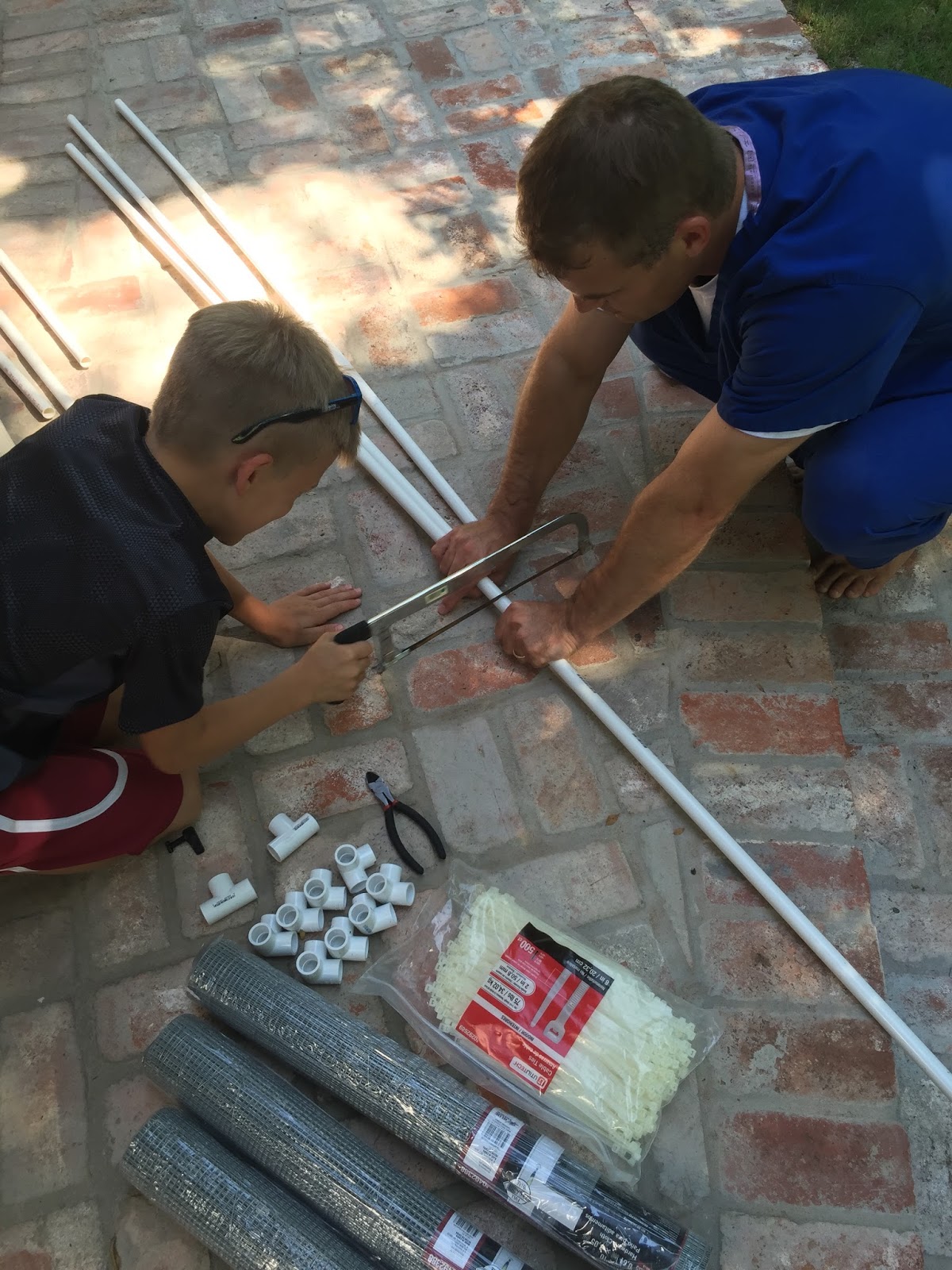 DIY Cheap and Easy Portable Chicken Rabbit Run Eleven Gables