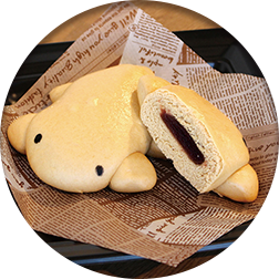 京都水族館で売られている「すいぞくパン」がかわいすぎ！【i】　オウサンショウウオまん