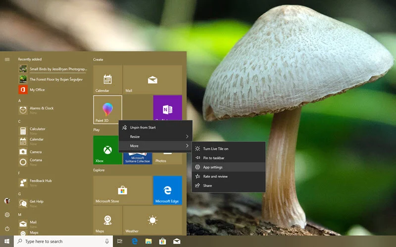 App Settings in Windows 10 will allow you to control the permissions an app has requested