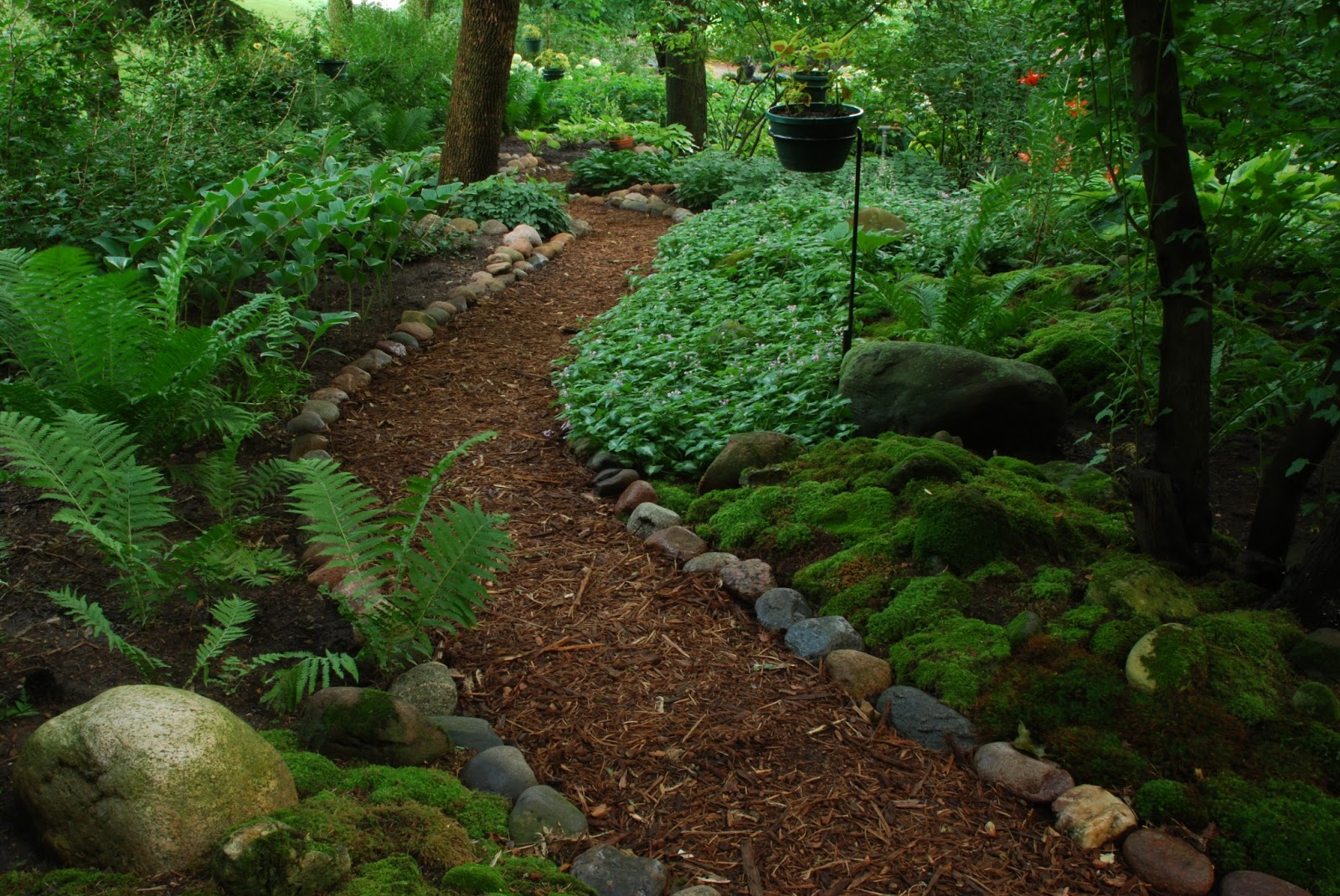 Rotary Botanical Gardens Hort Blog Making Of A Moss Garden