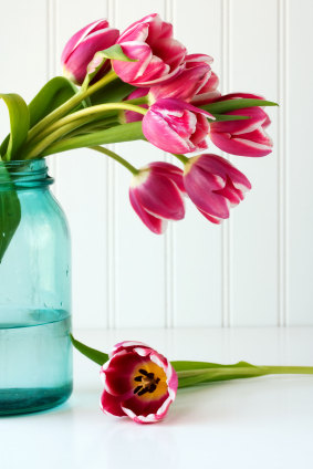 These bright pink tulips are fresh and bright.