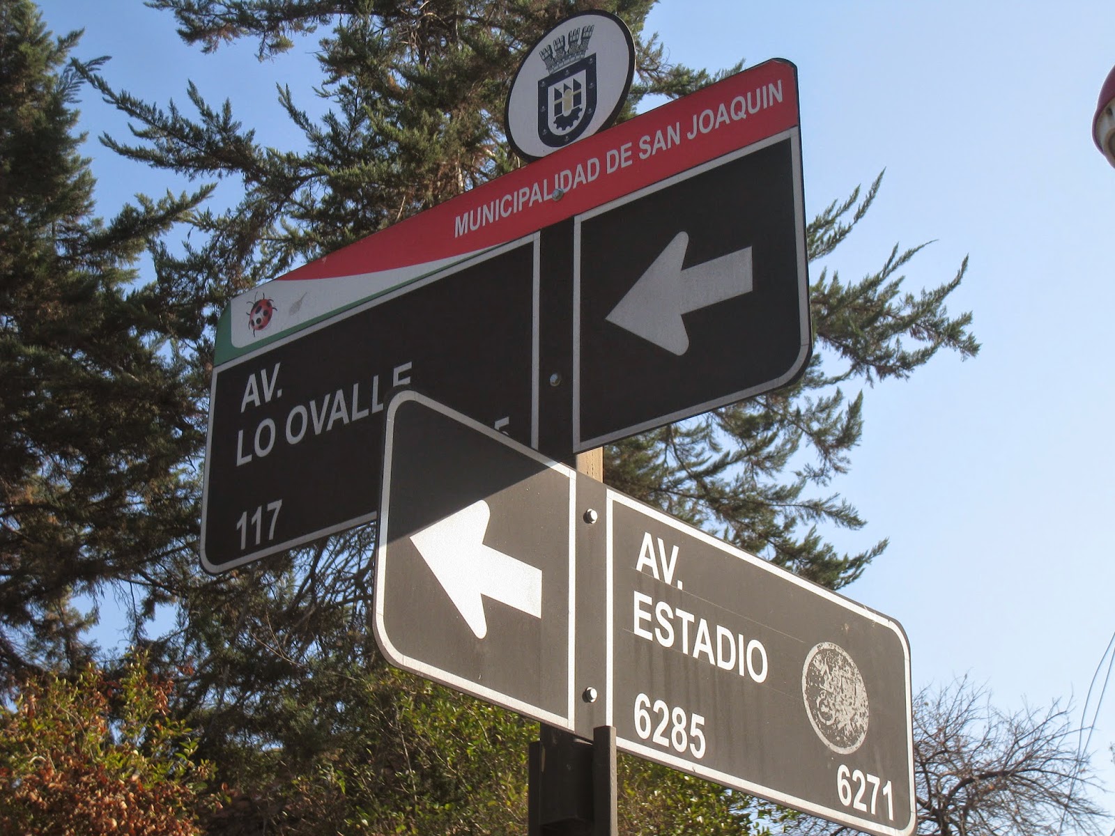 Vamos a Chile Коммуна San Joaquín