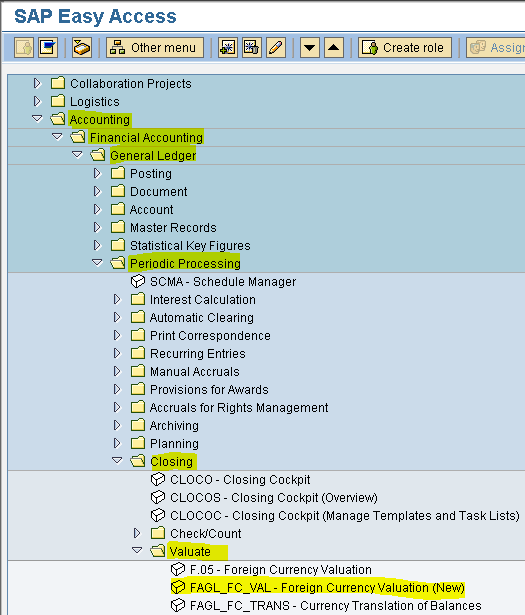 SAP FICO MODULE LEARNING Foreign Currency Balance Revaluation In SAP