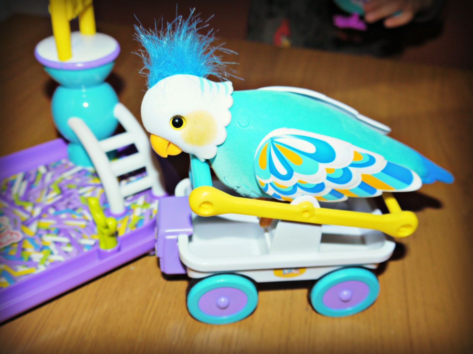 little live pets cleverkeet instructions