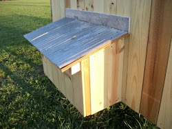 chicken coop nest box external lid pop renovation door open front lifts collect