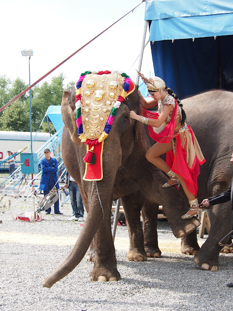 les girls descendent des éléphants après leur numéro dans le magenta du cirque Krone