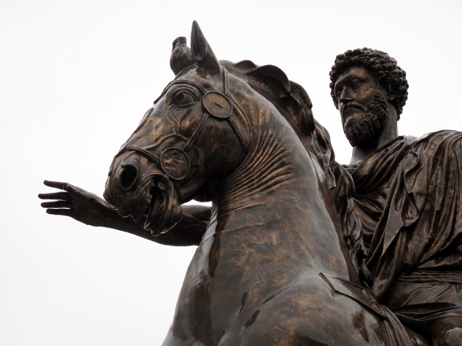Come Si Chiamava Il Cavallo Di Alessandro Magno