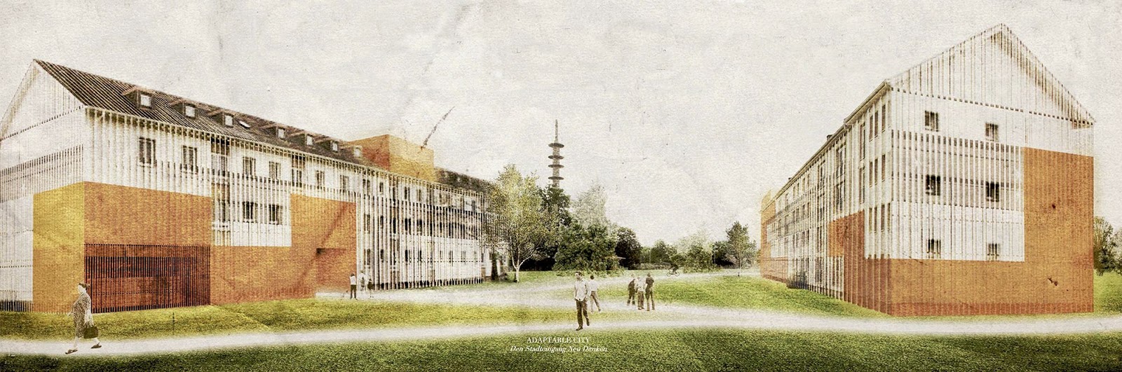 Wandering Izzy About Me