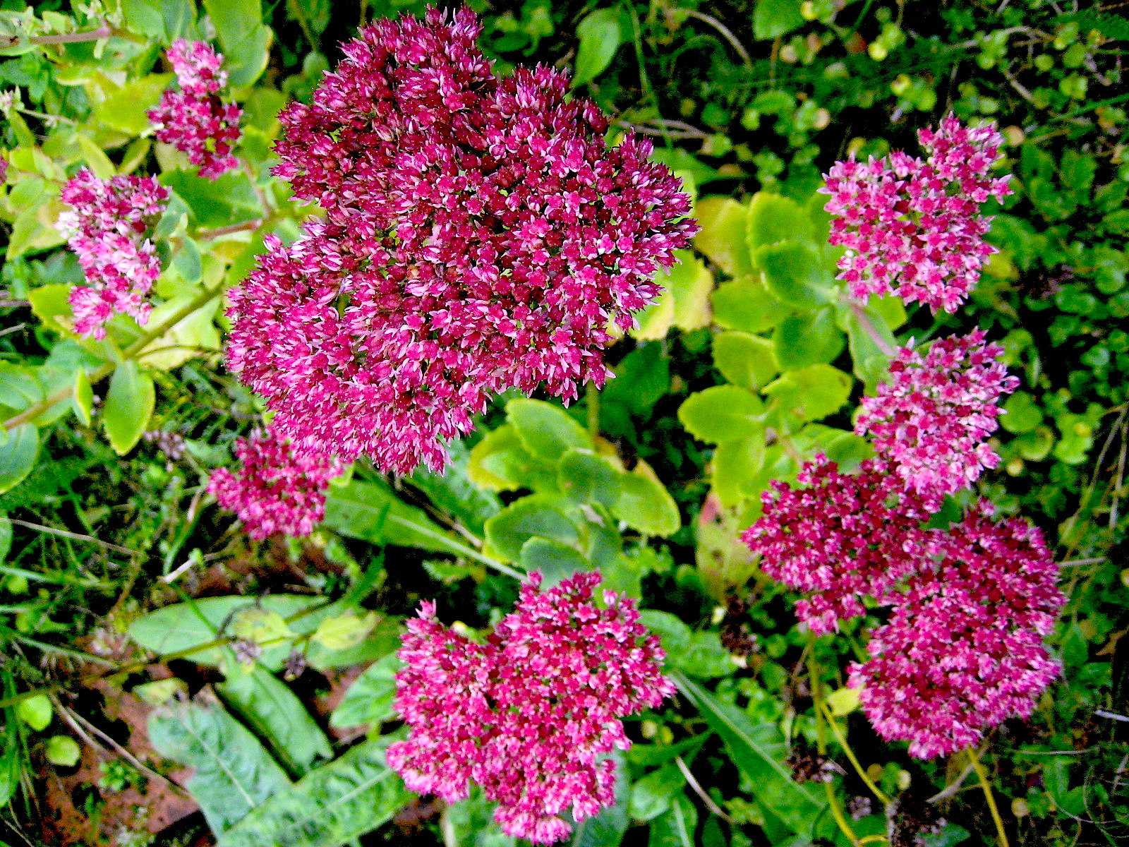 Stabilo Fachmarkt Fur Werkzeug Landwirtschaft Garten