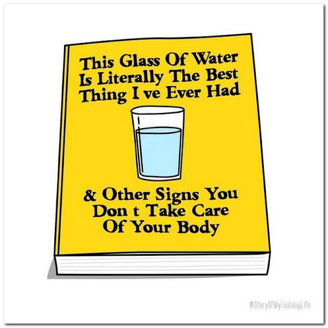 Chuck's Fun Page 2 Book covers done in jest 30 images