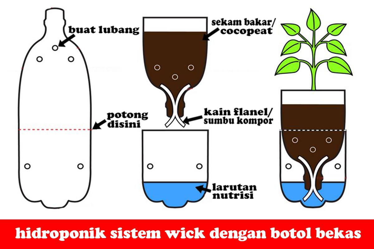 Foto cara membuat larutan nutrisi organik hidroponik terkait tips sukses dalam penggunaan larutan nutrisi untuk tanaman hidroponik
