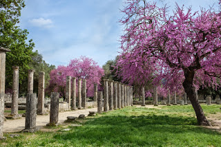 Πως βγήκε η έκφραση «Δρυός πεσούσης πας ανήρ ξυλεύεται»  