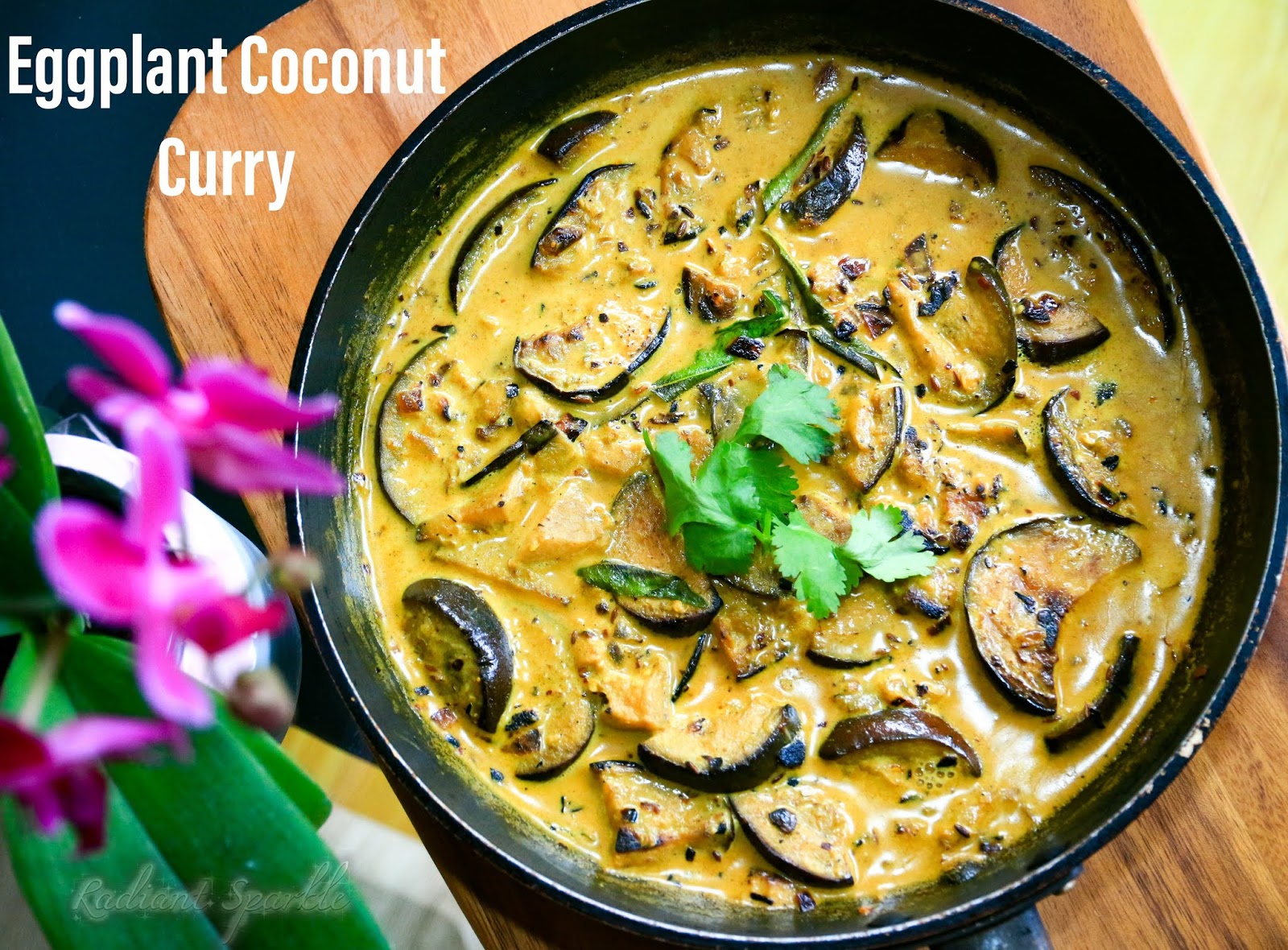MADE IN SNEHA'S KITCHEN Eggplant Coconut Curry