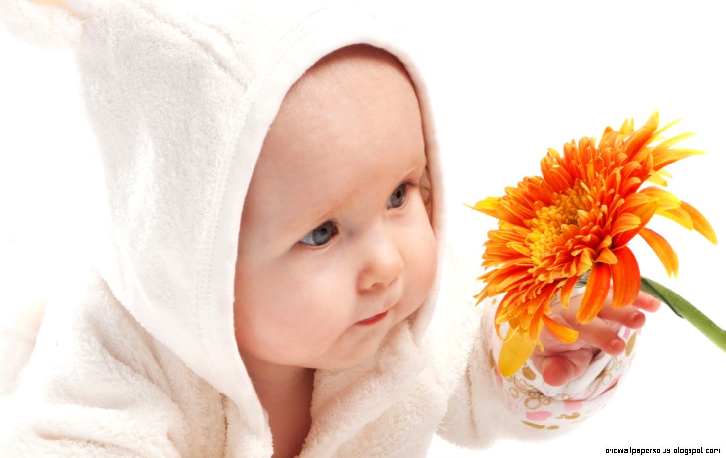 Cute Babies Wallpapers Flowers