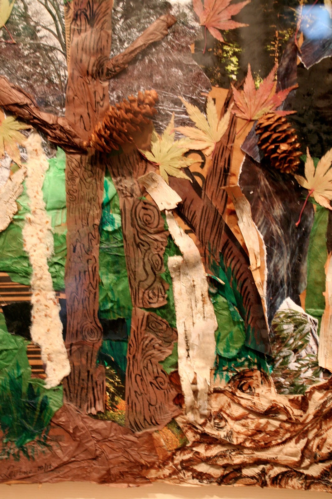 Garden Bytes from the Big Apple: VISIONS OF NATURE