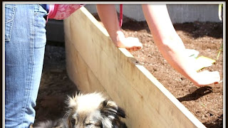 Winterizing Raised Beds: A Beginner's Prep Checklist!