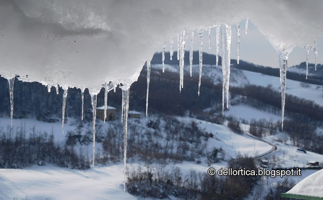 orto rose bologna savigno valsamoggia ortica uccelli neve topo