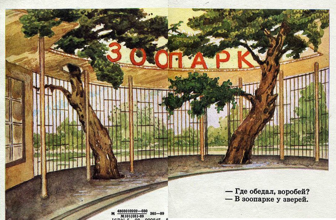 Воробей в зоопарке Воробей в зоопарке