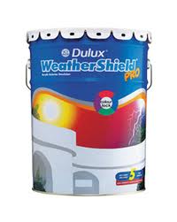 19 Cat Dulux Professional