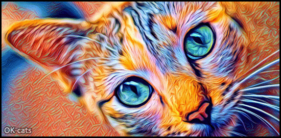 Art Cat GIF • Psychedelic Cat with pupil dilation looking at camera Art Cat GIF • Psychedelic Cat with pupil dilation looking at camera