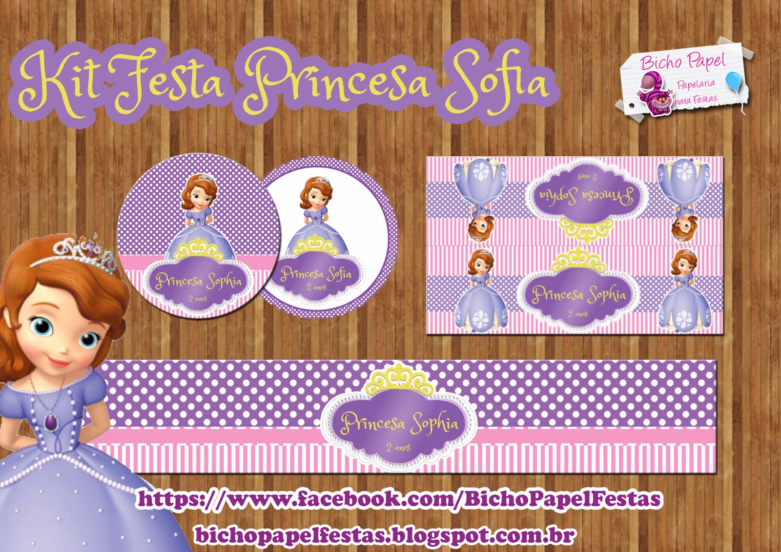 Kit Festa Princesa Sofia