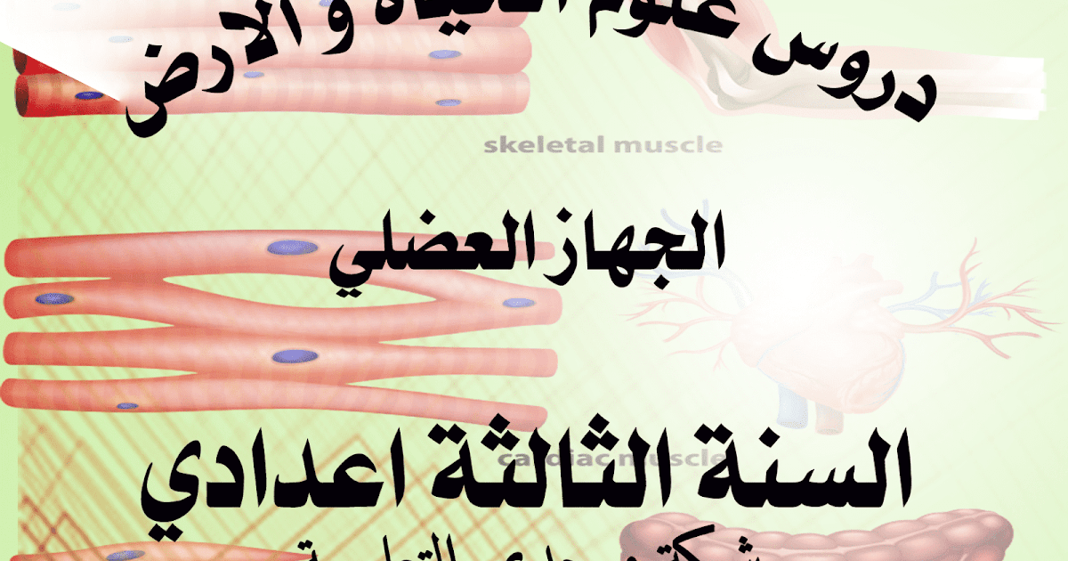 درس الجهاز العضلي للسنة الثالثة اعدادي