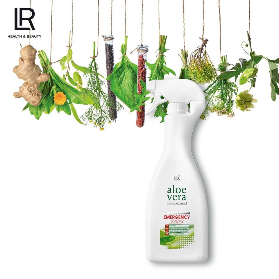 Evde Aloe Vera Bakımı İpuçları ve Kullanım Alanları Evde Aloe Vera Bakımı İpuçları ve Kullanım Alanları