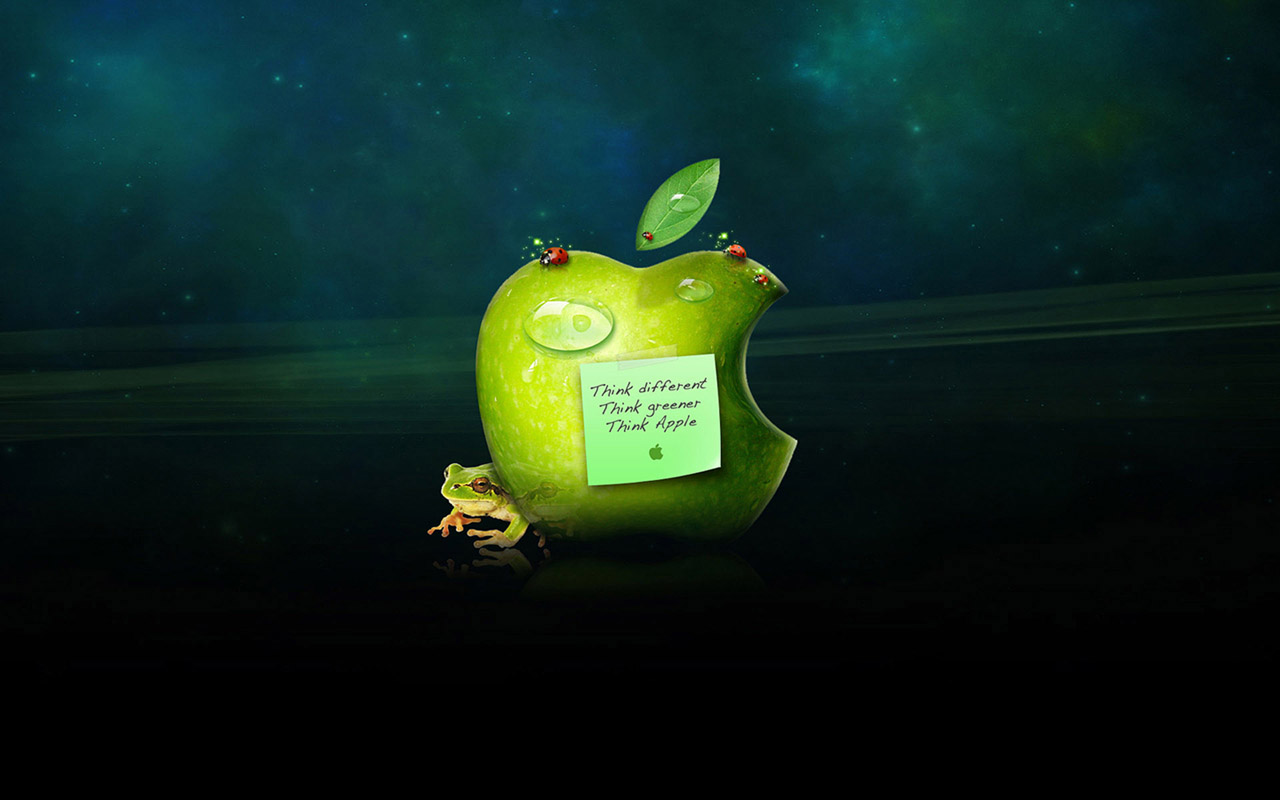 https://3.bp.blogspot.com/-Q4qr6-KMQ-4/TkZQdlL0cqI/AAAAAAAAB14/6lMUX6MeM4g/s1600/really+funny+wallpapers-2.jpg