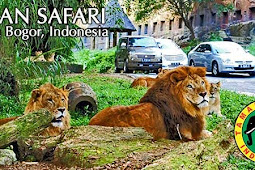 Taman Safari Indonesia Cisarua Bogor