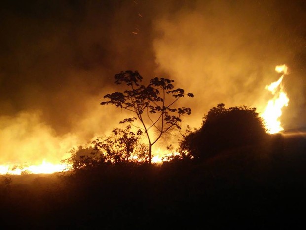 Forte incêndio atingiu região da Chapada em novembro (Foto: Edmar de Lima de Carvalho/ICMBio)