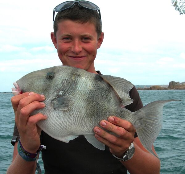 Fishing Jersey Channel Islands Boat Fishing in Jersey Channel Islands