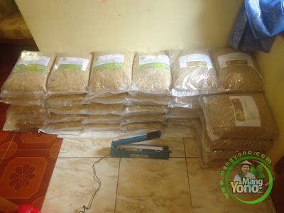Wahyu Subang, Jabar Pembeli Benih Padi NAZWA 80 HST Panen sebanyak 5 Kg atau 1 Bungkus Wahyu Subang, Jabar Pembeli Benih Padi NAZWA 80 HST Panen sebanyak 5 Kg atau 1 Bungkus