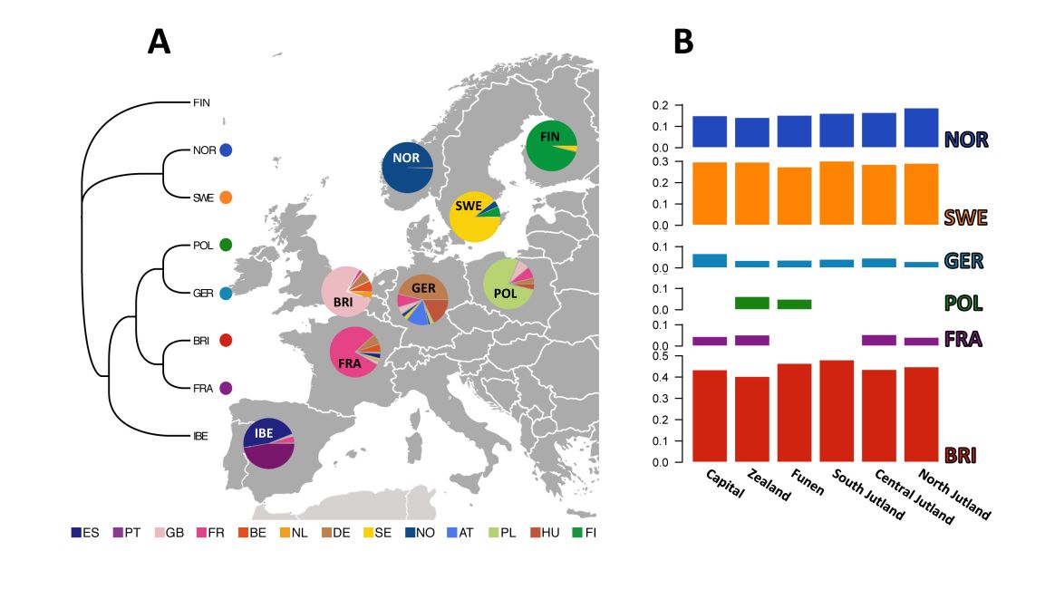Denmark is homogeneous