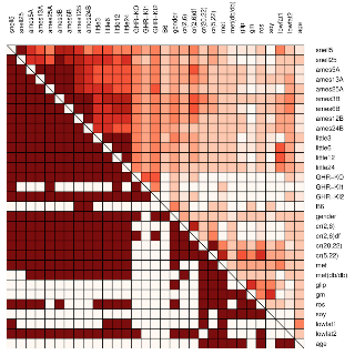 Map analysis: Correlation Matrix