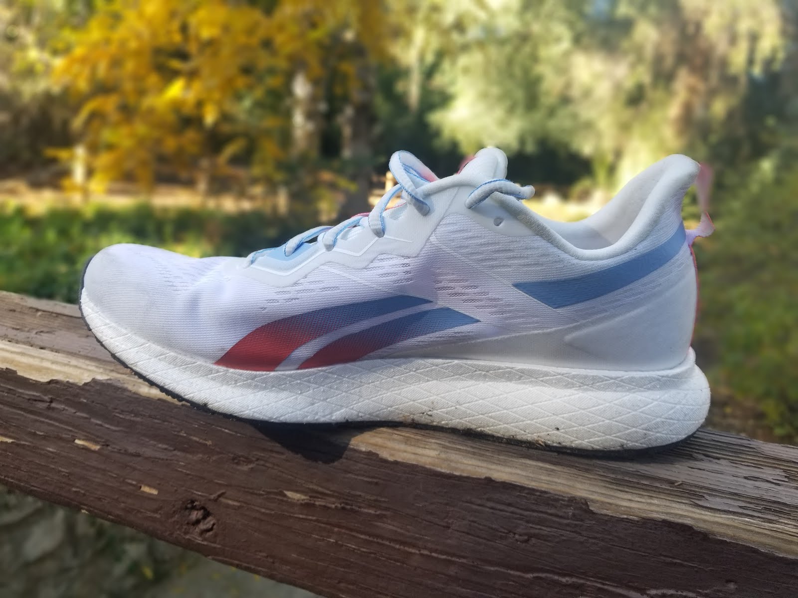 reebok floatride forever energy