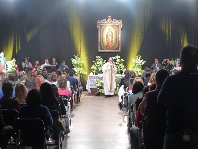 elenco sueño de amor