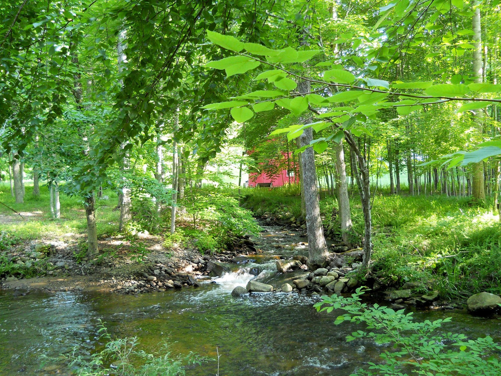 Small Stream Reflections The brook by the Red Barn