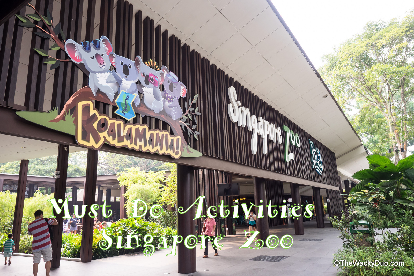 5 Must Do Activities in Singapore Zoo for kids