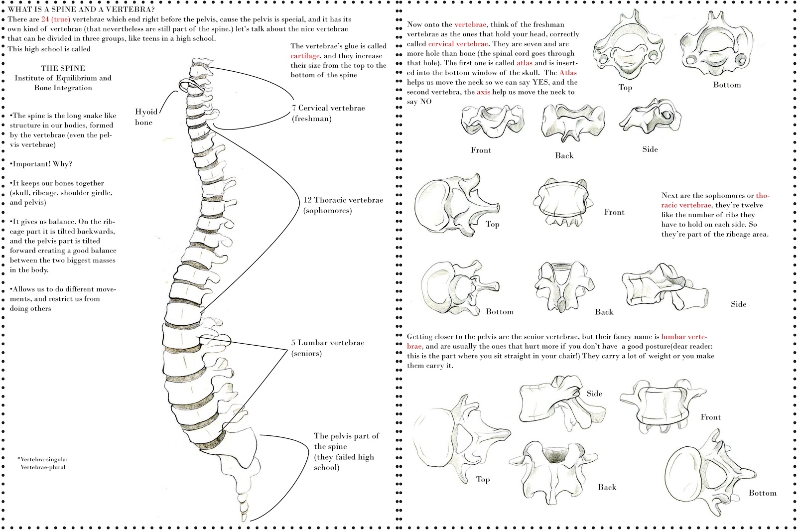 Ana's Art Stuff: Bones!