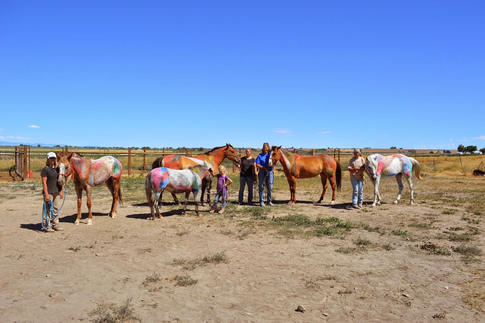 Karen's Horse Tails Paint Your Horse