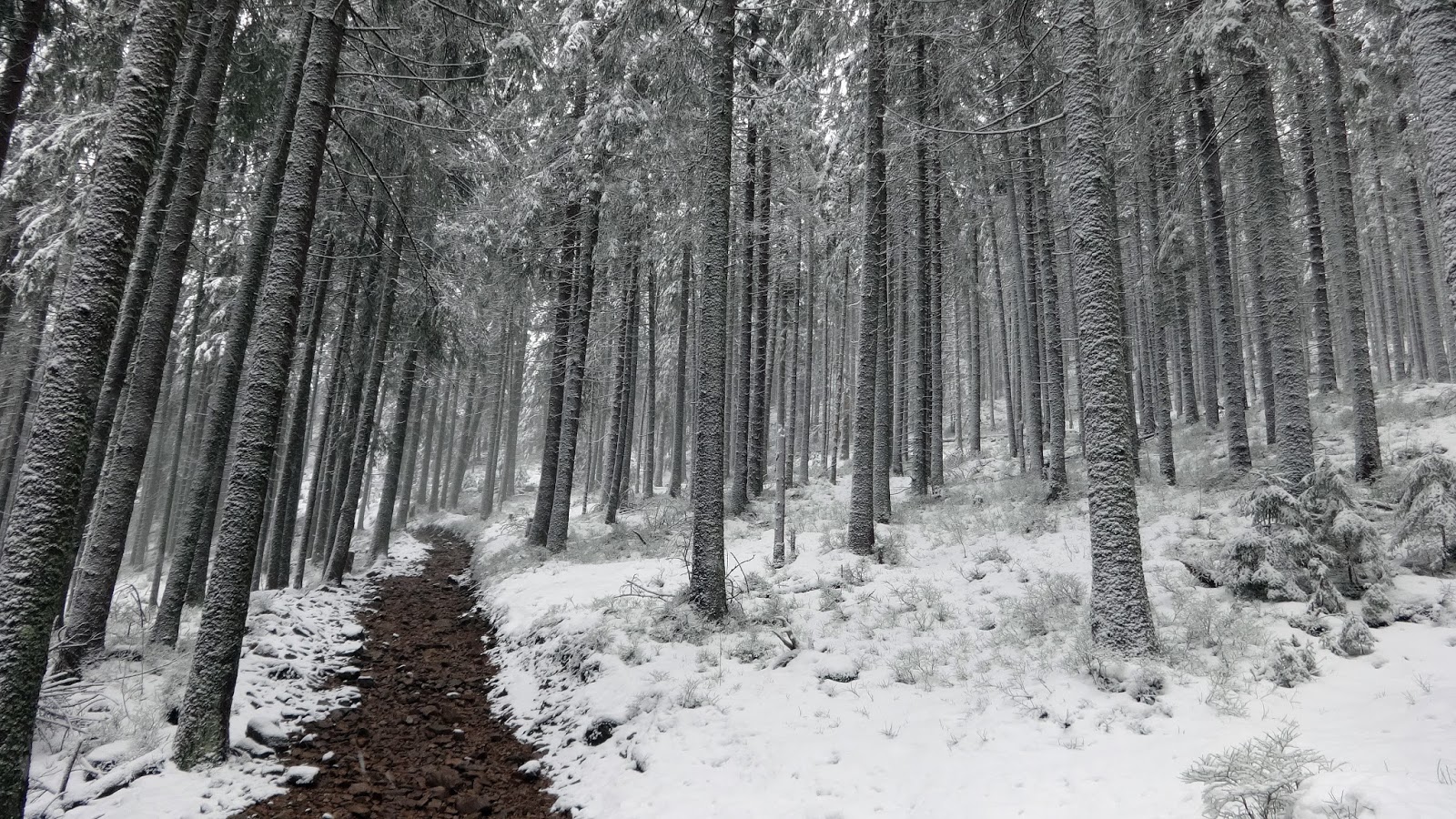 To miejsce na mapie: Turystyka górska zimą. Zimowe wejście na Grzesia w