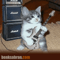  Gambar  Kucing  Lucu Dp Bbm Bergerak Benksabran Store Gitar 