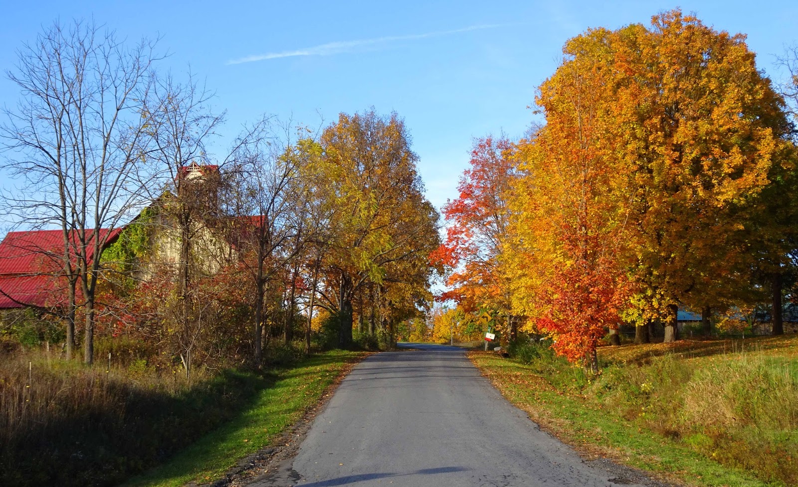 Joe's Retirement Blog Out and About, Ithaca, New York, USA