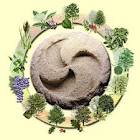 Enigmas, Misterios y Ciencias Ocultas en la Red: Astrolog\u00eda Celta