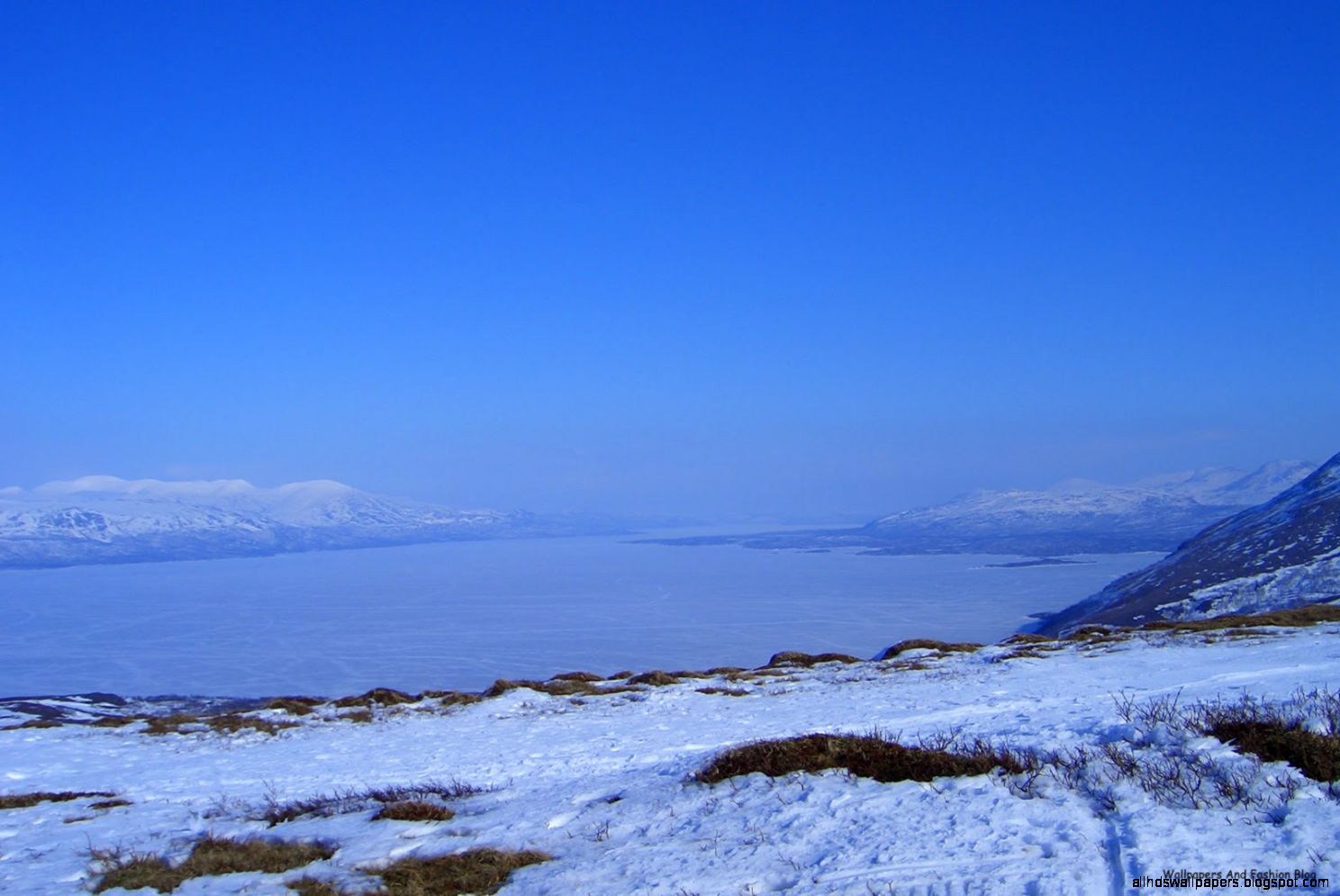 Wedding Fashion For Men Winter Scenes HD Wallpapers And Backgrounds